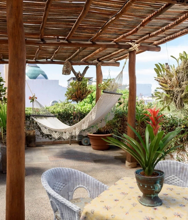 The rooftop patio and garden at Hacienda Alemana