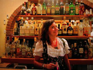 Hacienda Alemana Restaurant in Puerto Vallarta